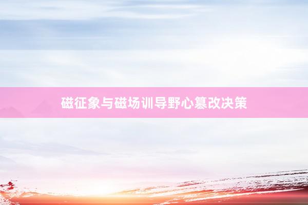 磁征象与磁场训导野心篡改决策