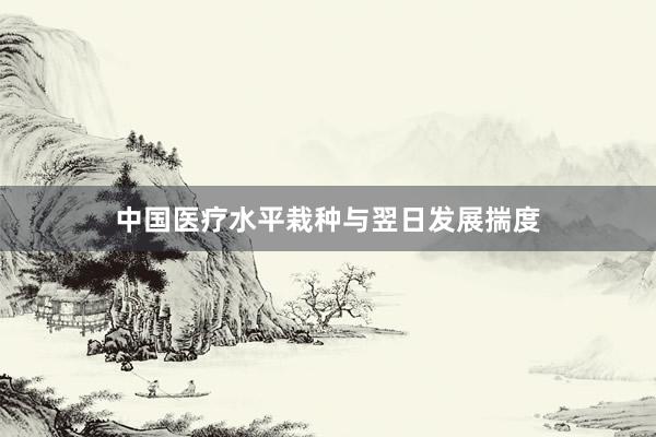中国医疗水平栽种与翌日发展揣度