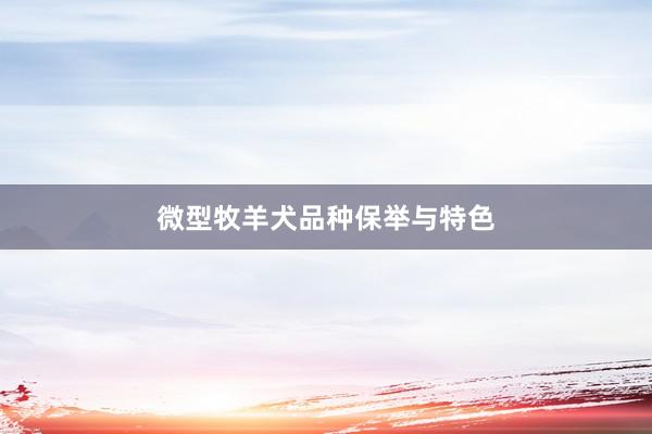 微型牧羊犬品种保举与特色